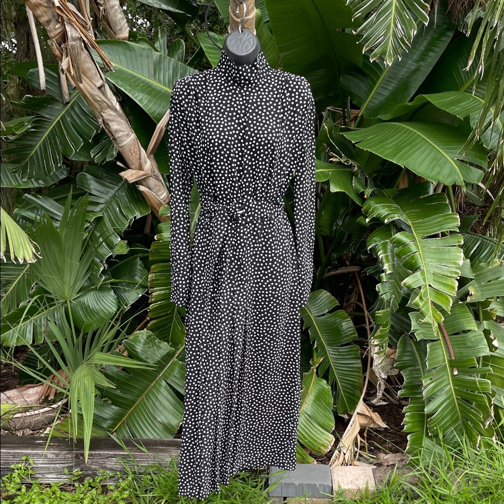 Zara polkadot dress with self belt